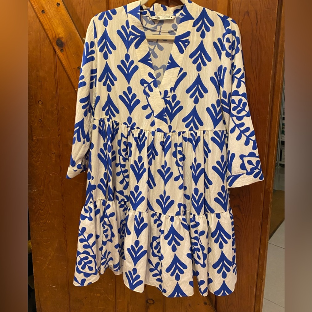 Zara dress